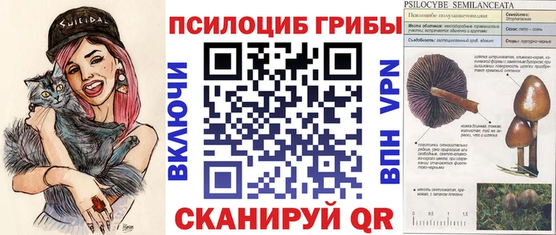 мега как зайти Дубовка Галлюциногенные грибы ЛСД